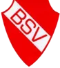 Bodelwitzer SV