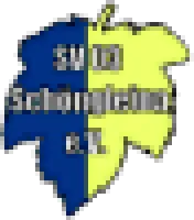 LSV 1990 Schöngleina II