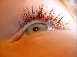 SV Lobeda 77 startet Internetseite