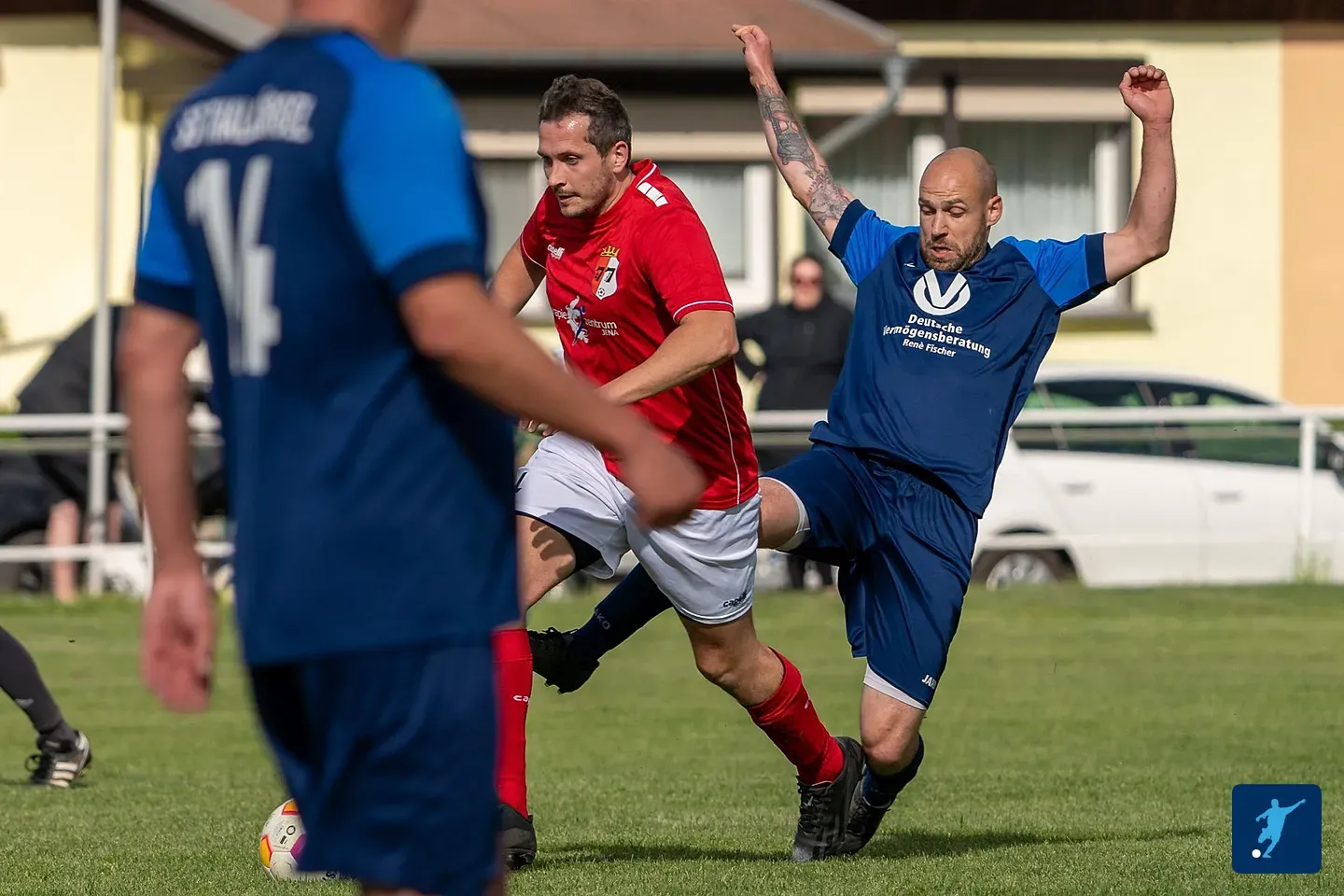 (1M) Erste erwacht aus dem Winterschlaf