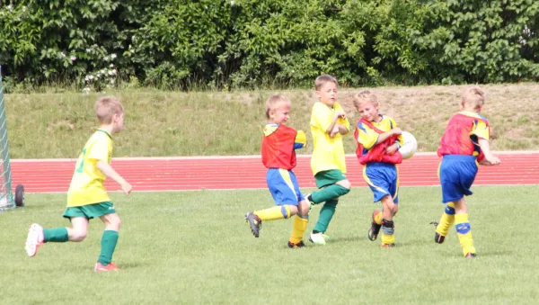 `WG Carl Zeiss´- Cup 2016