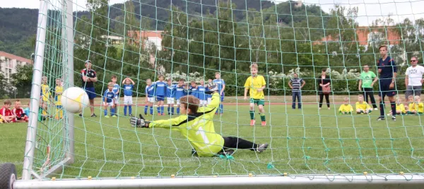 `WG Carl Zeiss´- Cup 2016