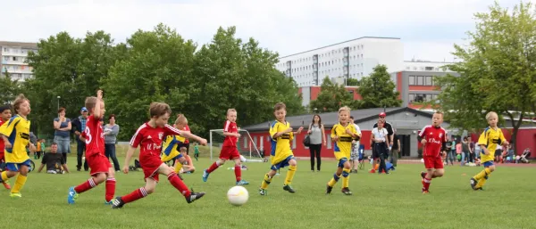 `WG Carl Zeiss´- Cup 2016