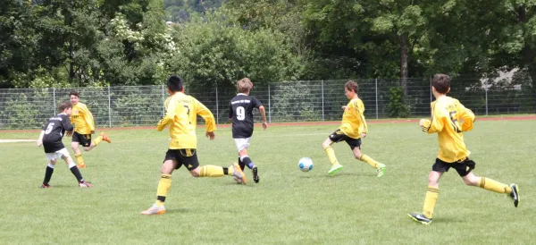 `WG Carl Zeiss´- Cup 2016