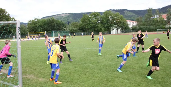 `WG Carl Zeiss´- Cup 2016