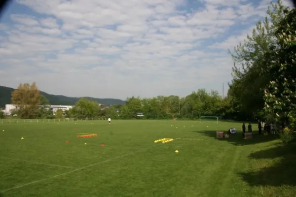 Deutsche Fussball Akademie