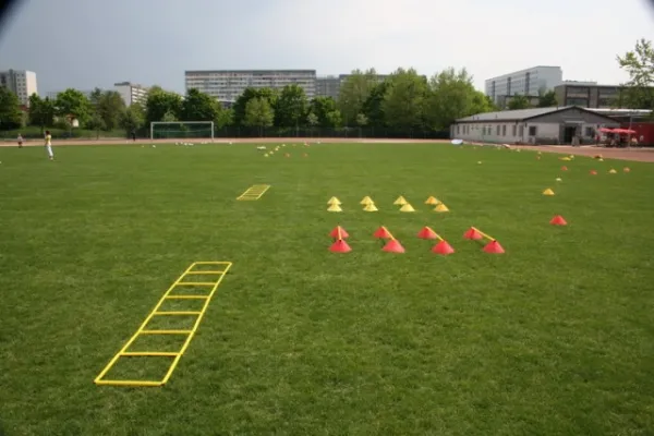 Deutsche Fussball Akademie