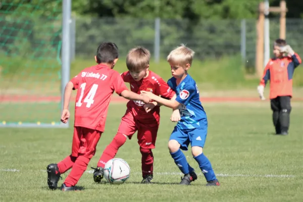 Bambini Cup 2023 (3.Spieltag)