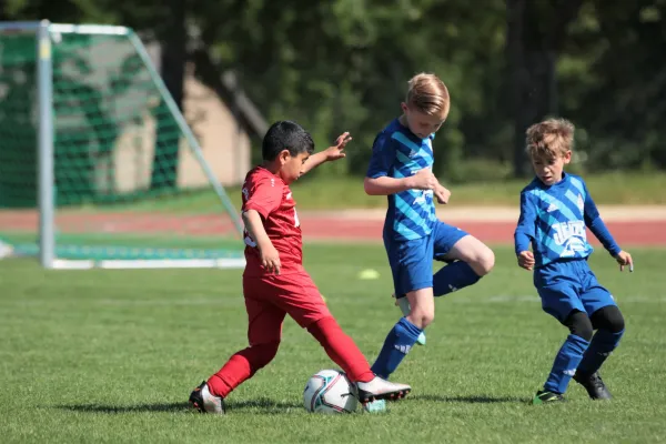 Bambini Cup 2023 (3.Spieltag)