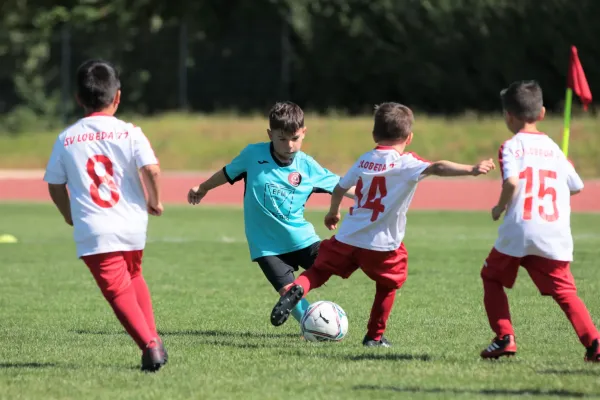 Bambini Cup 2023 (3.Spieltag)