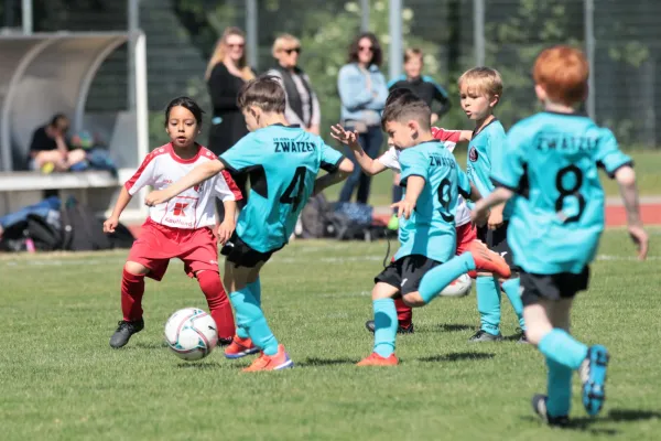 Bambini Cup 2023 (3.Spieltag)