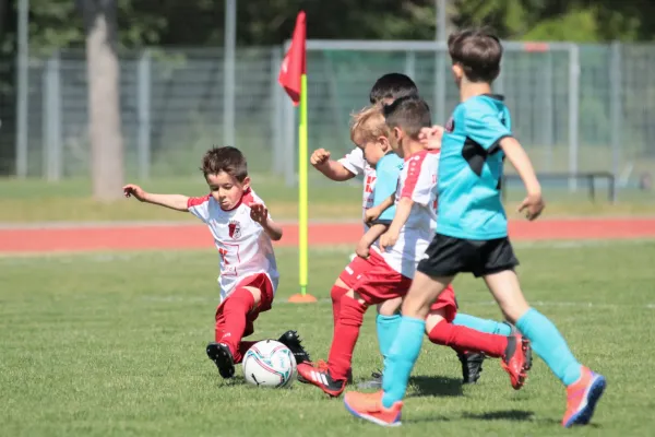 Bambini Cup 2023 (3.Spieltag)