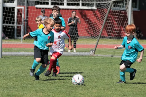 Bambini Cup 2023 (3.Spieltag)