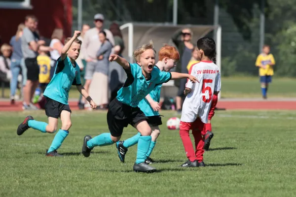 Bambini Cup 2023 (3.Spieltag)