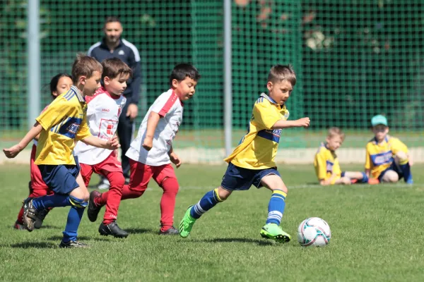 Bambini Cup 2023 (3.Spieltag)