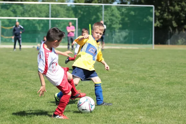 Bambini Cup 2023 (3.Spieltag)