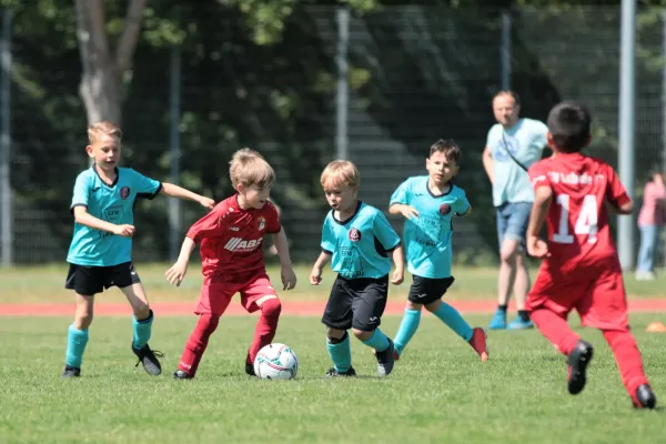 Bambini Cup 2023 (3.Spieltag)