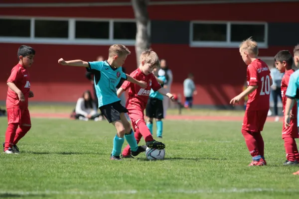 Bambini Cup 2023 (3.Spieltag)