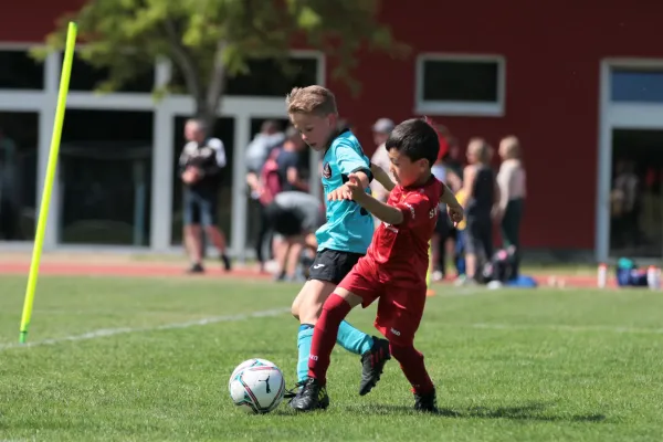 Bambini Cup 2023 (3.Spieltag)