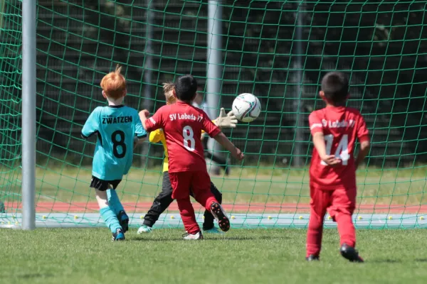 Bambini Cup 2023 (3.Spieltag)