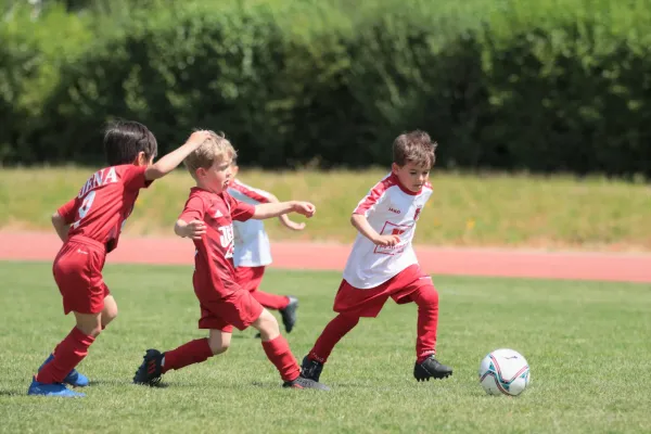 Bambini Cup 2023 (3.Spieltag)