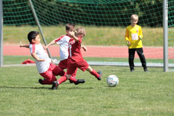 Bambini Cup 2023 (3.Spieltag)
