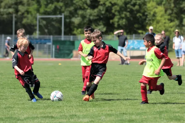 Bambini Cup 2023 (3.Spieltag)