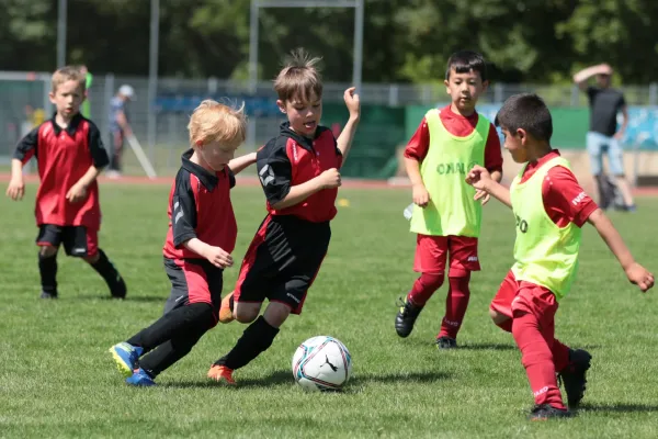 Bambini Cup 2023 (3.Spieltag)