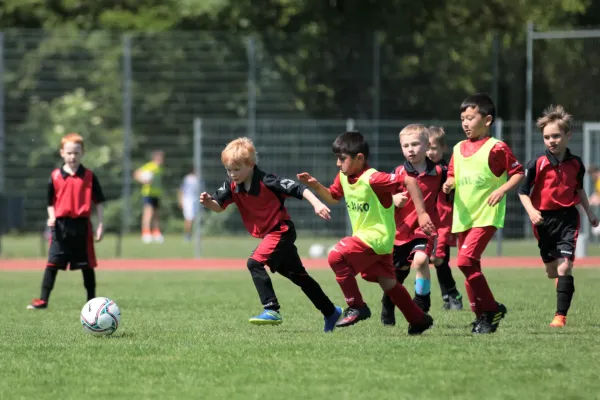 Bambini Cup 2023 (3.Spieltag)