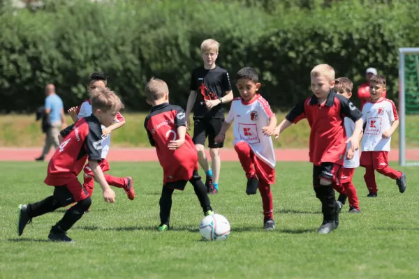 Bambini Cup 2023 (3.Spieltag)