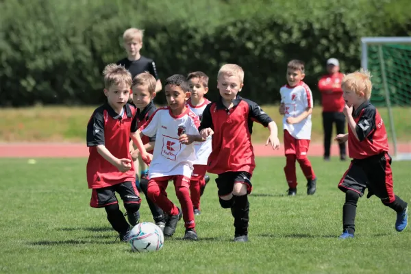 Bambini Cup 2023 (3.Spieltag)