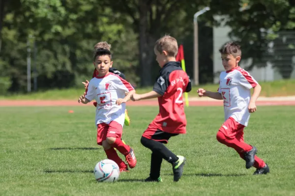 Bambini Cup 2023 (3.Spieltag)