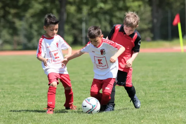 Bambini Cup 2023 (3.Spieltag)