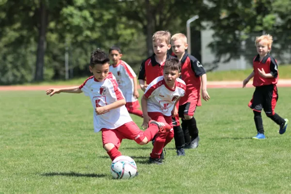 Bambini Cup 2023 (3.Spieltag)