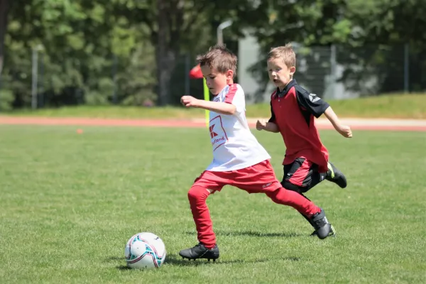 Bambini Cup 2023 (3.Spieltag)