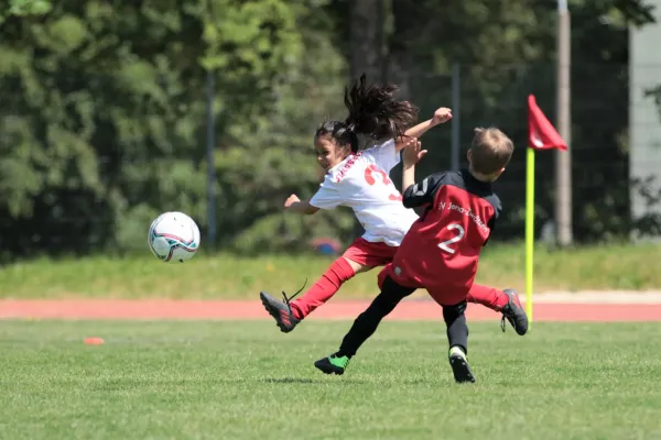Bambini Cup 2023 (3.Spieltag)