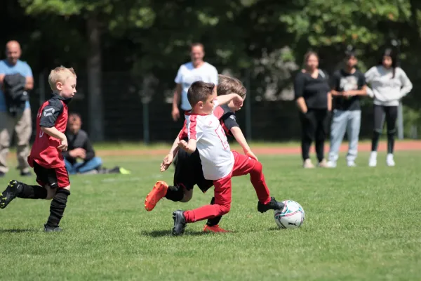 Bambini Cup 2023 (3.Spieltag)