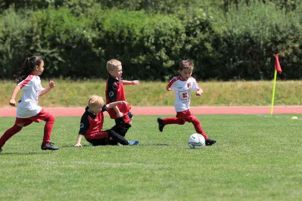 Bambini Cup 2023 (3.Spieltag)