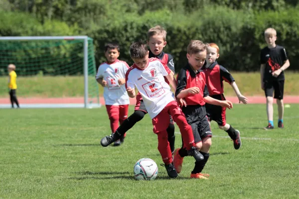 Bambini Cup 2023 (3.Spieltag)