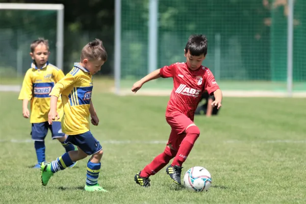Bambini Cup 2023 (3.Spieltag)