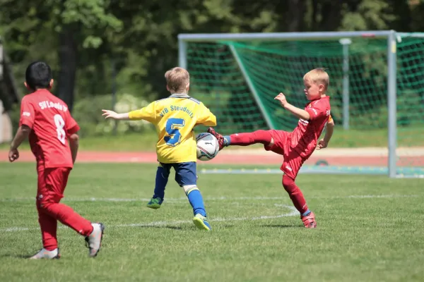 Bambini Cup 2023 (3.Spieltag)