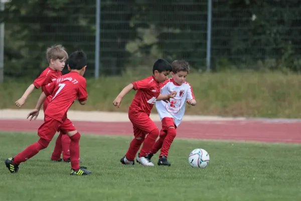 Bambini Cup 2023 (3.Spieltag)