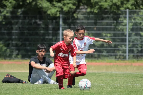 Bambini Cup 2023 (3.Spieltag)
