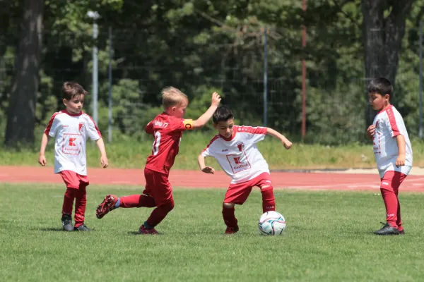 Bambini Cup 2023 (3.Spieltag)