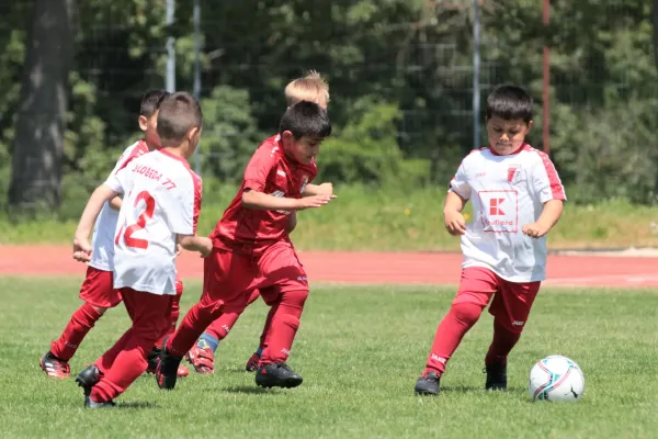 Bambini Cup 2023 (3.Spieltag)