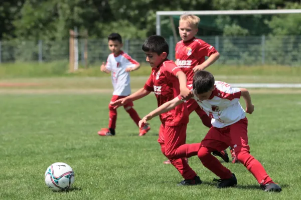 Bambini Cup 2023 (3.Spieltag)