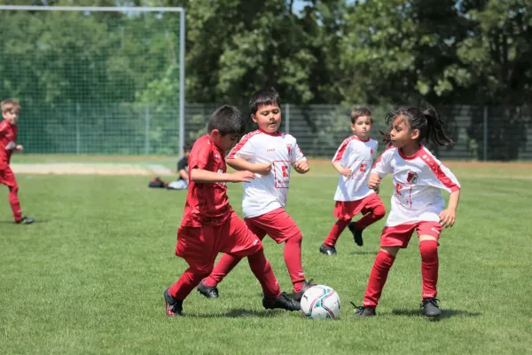 Bambini Cup 2023 (3.Spieltag)