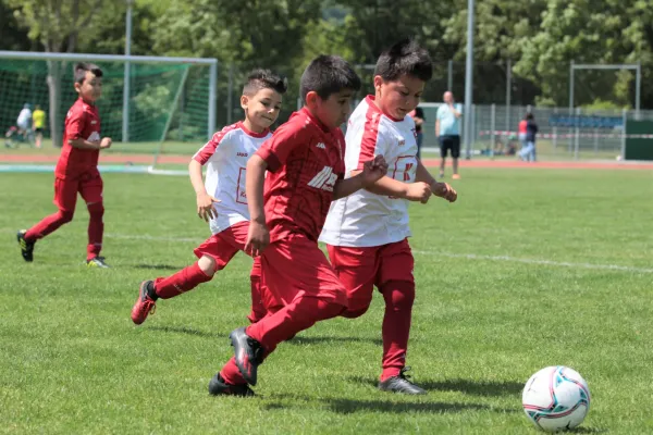 Bambini Cup 2023 (3.Spieltag)