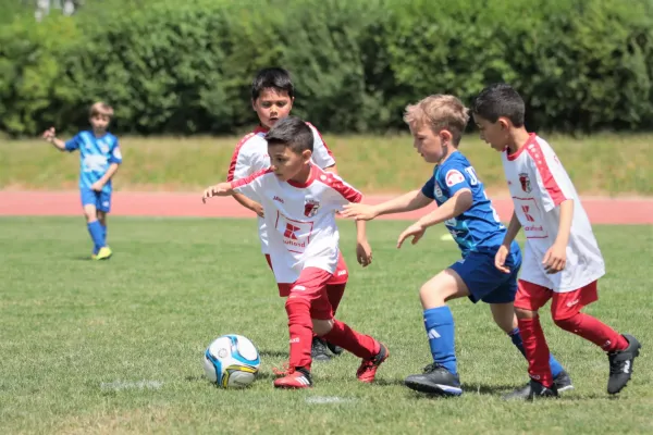 Bambini Cup 2023 (3.Spieltag)