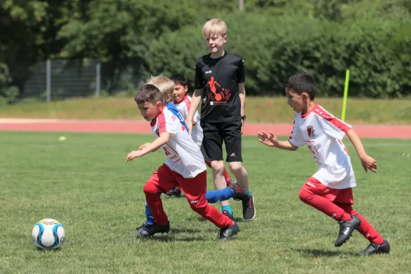 Bambini Cup 2023 (3.Spieltag)